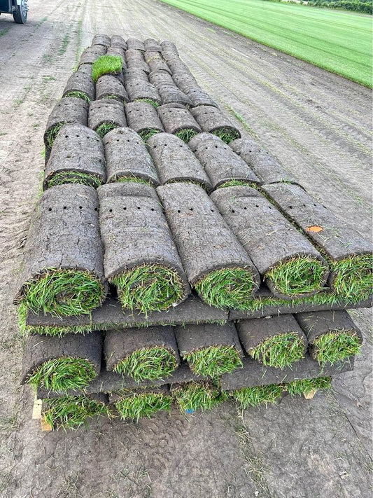 Real Grass Turf Freshly Cut - 1 Sqm Rolls